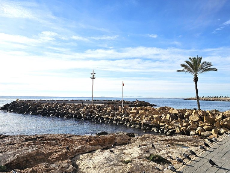 Apartment for Sale in Torrevieja, Alicante 2