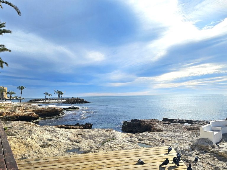 Apartment for Sale in Torrevieja, Alicante 16