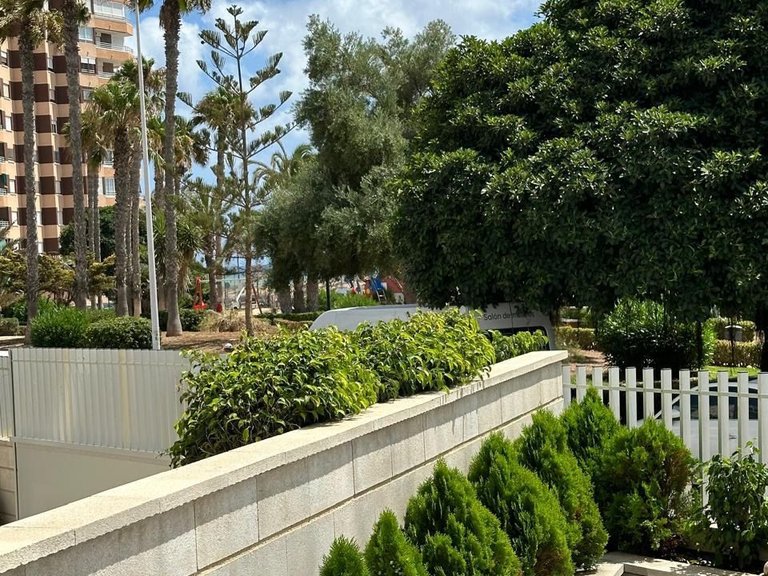 Apartment for Sale in Torrevieja, Alicante 5