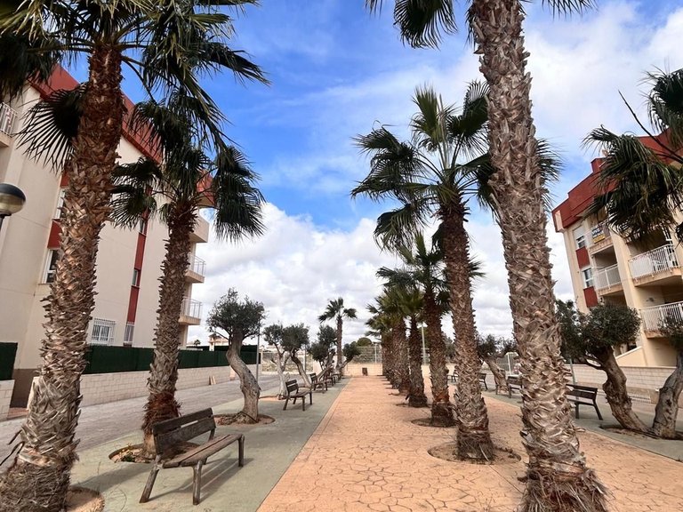 Apartment for Sale in Orihuela Costa, Alicante 2