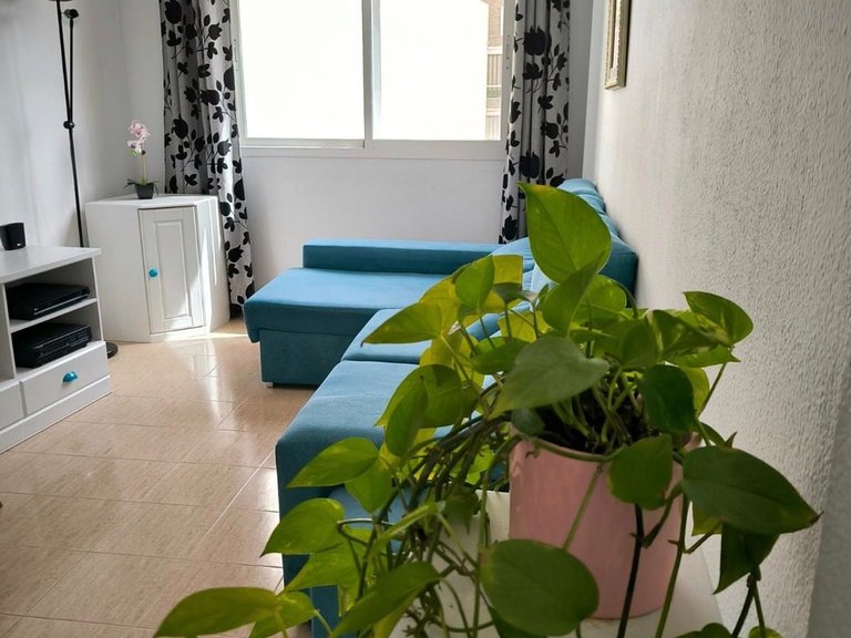 Apartment for Sale in Torrevieja, Alicante 3