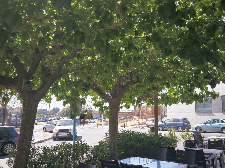 Apartment for Sale in Torrevieja, Alicante 22