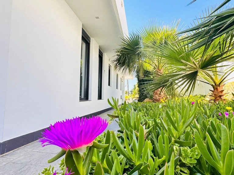Villa for Sale in Manilva, Malaga 18