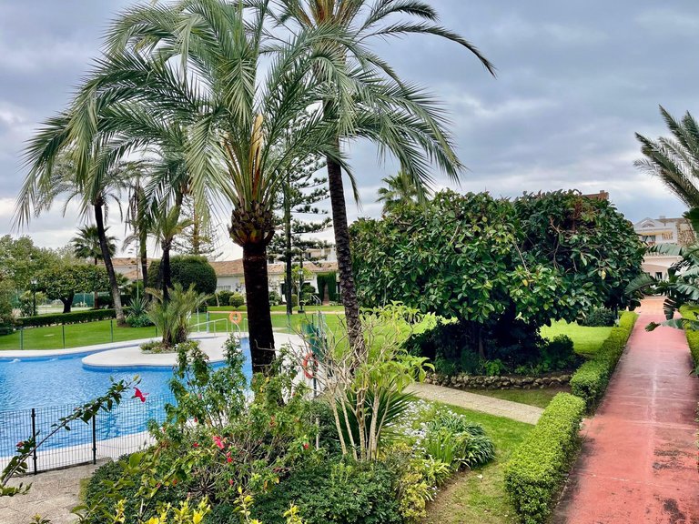Apartment for Rent in Marbella, Malaga 28