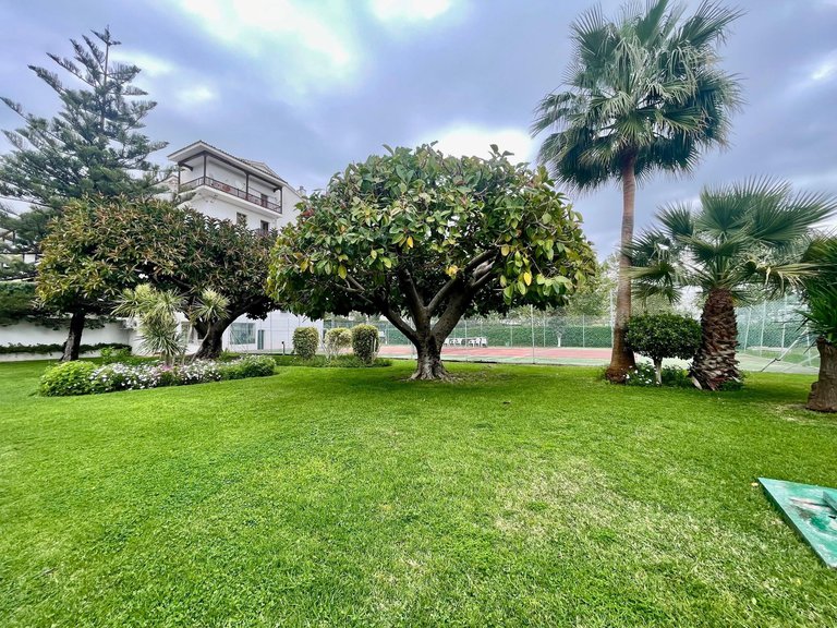 Apartment for Rent in Marbella, Malaga 32