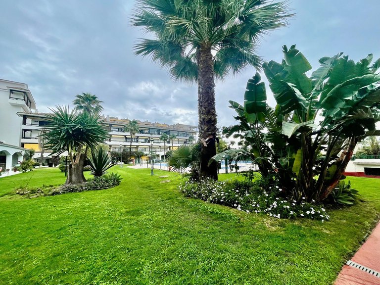 Apartment for Rent in Marbella, Malaga 37