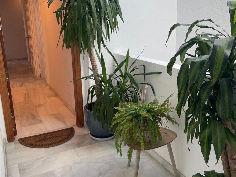 Apartment for Sale in Estepona, Malaga 30