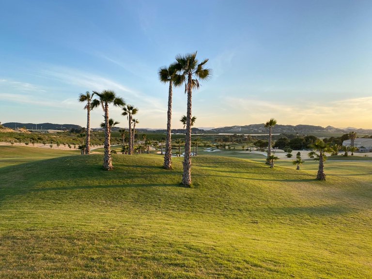 Villa for Sale in Los Montesinos, Alicante 4