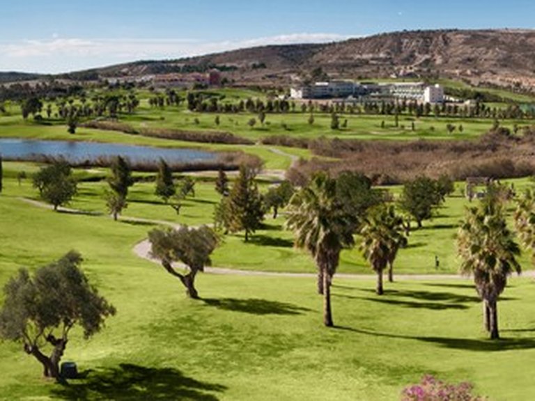 Villa for Sale in Algorfa, Alicante 24