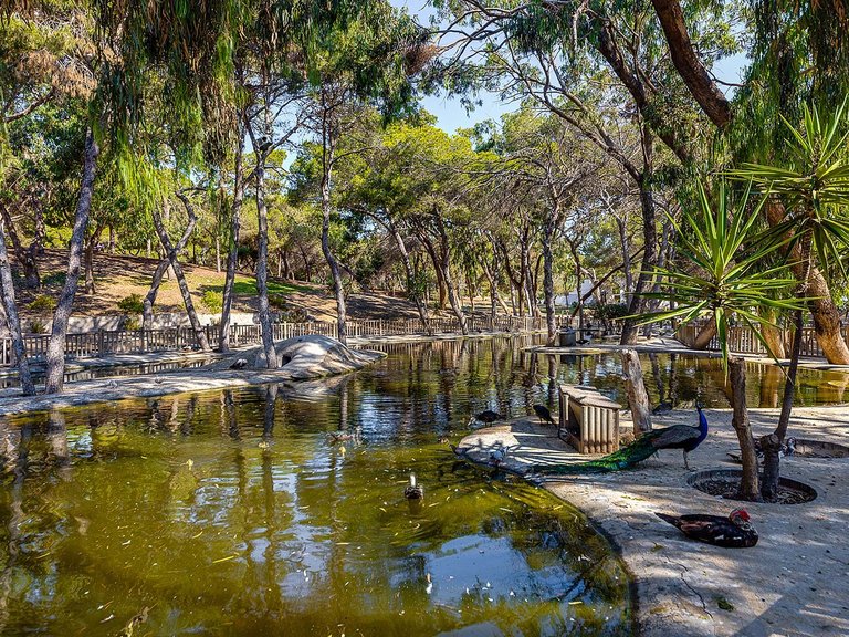 Apartment for Sale in Guardamar del Segura, Alicante 35