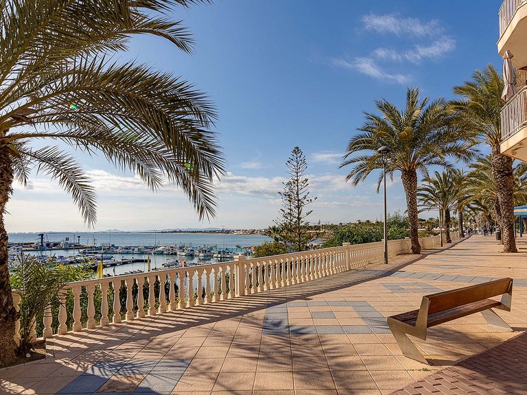 Villa for Sale in Pilar de la Horadada, Alicante 15