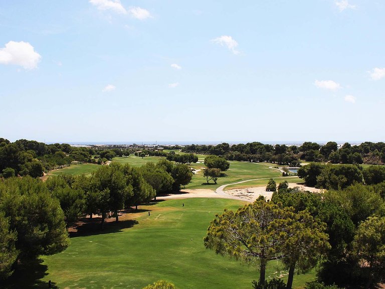 Villa for Sale in Pilar de la Horadada, Alicante 18