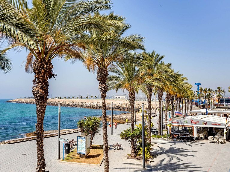 Apartment for Sale in Torrevieja, Alicante 13
