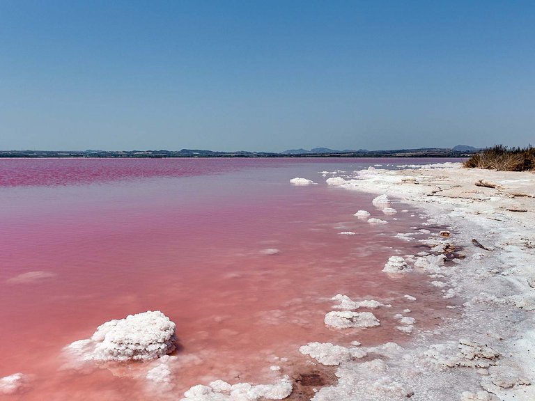 Villa for Sale in Torrevieja, Alicante 31