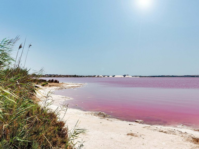 Villa for Sale in Torrevieja, Alicante 30