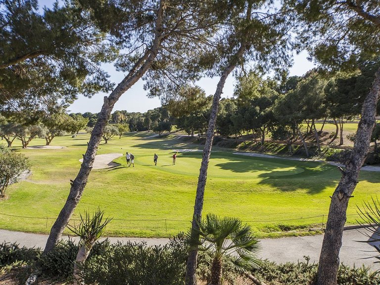 Penthouse for Sale in Orihuela Costa, Alicante 23