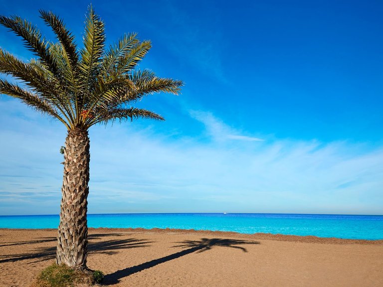 Apartment for Sale in Denia, Alicante 9