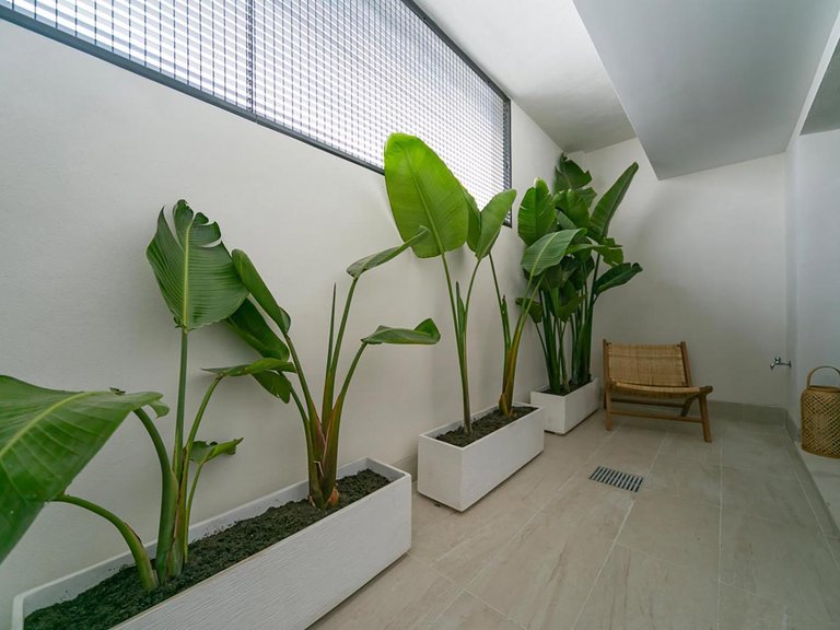 Villa for Sale in Torrevieja, Alicante 16