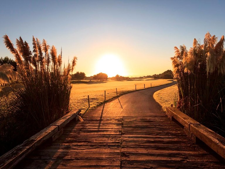 Villa for Sale in Pilar de la Horadada, Alicante 13