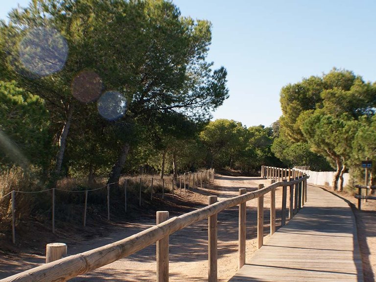 Villa for Sale in Torrevieja, Alicante 31