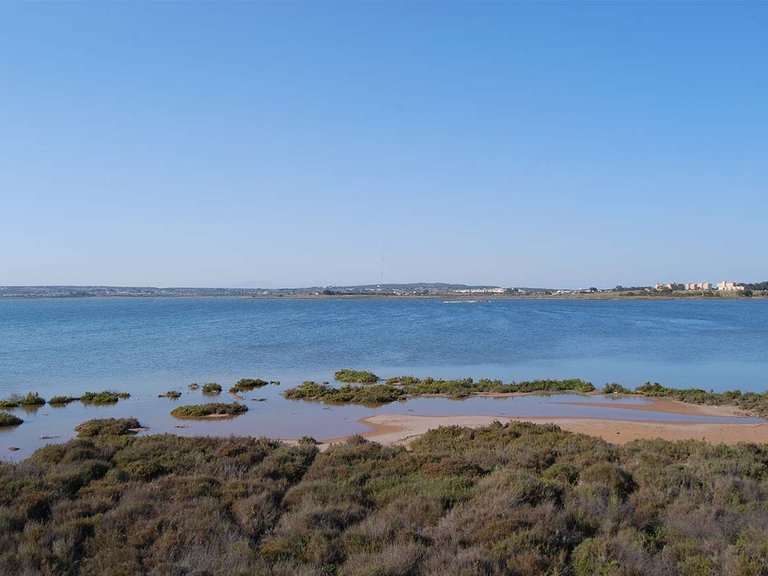 Villa for Sale in Torrevieja, Alicante 35