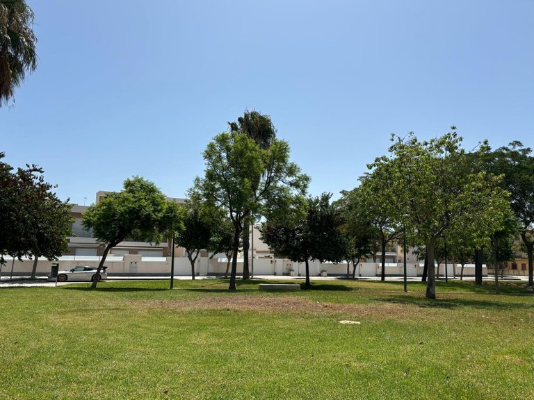 Villa for Sale in Pilar de la Horadada, Alicante 8