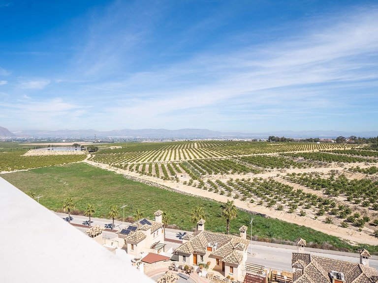 Villa for Sale in Algorfa, Alicante 34