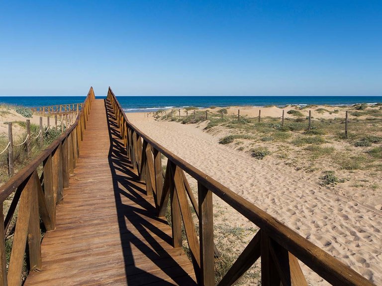 Apartment for Sale in Guardamar del Segura, Alicante 19