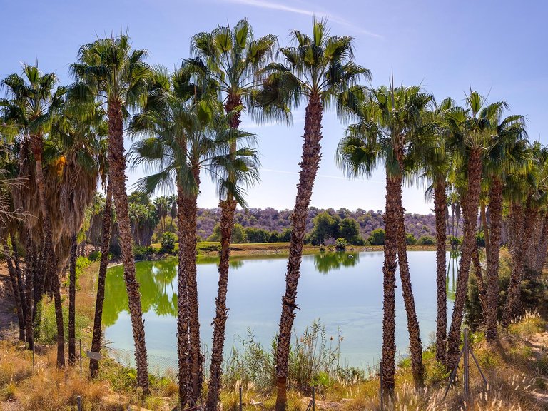 Villa for Sale in Costa Blanca Orihuela Costa, Alicante 34