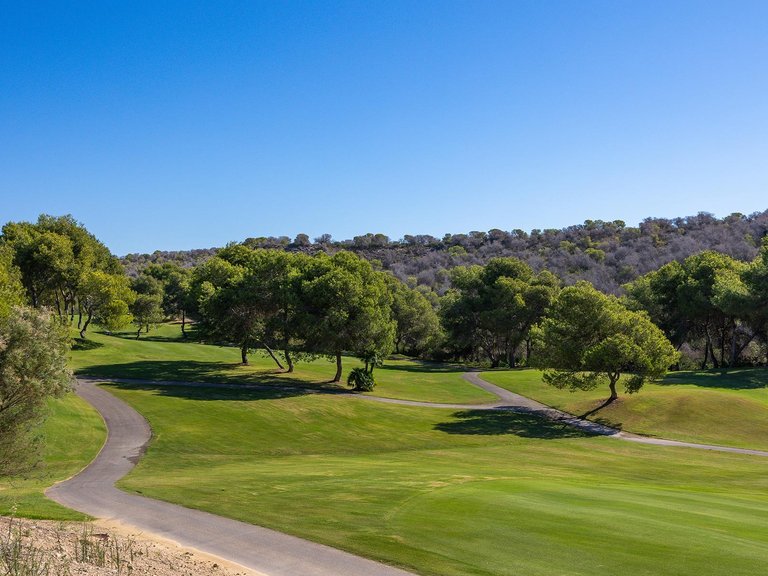 Villa for Sale in Costa Blanca Orihuela Costa, Alicante 40