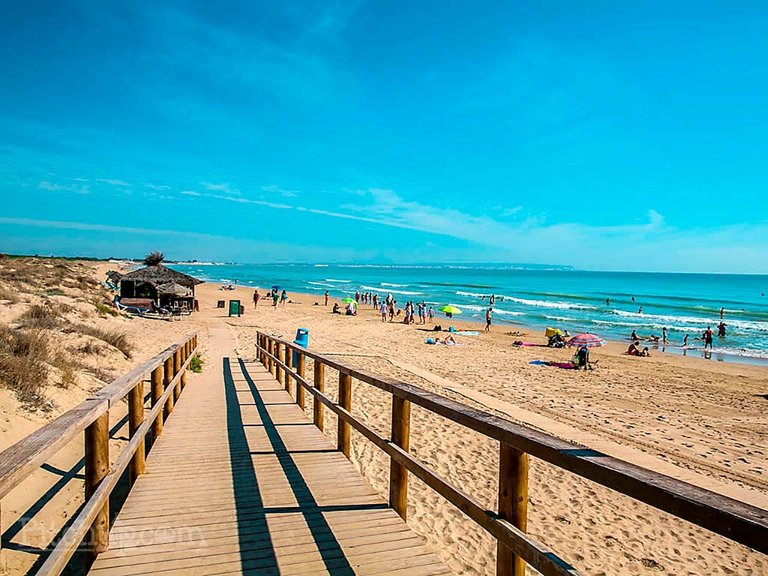 Apartment for Sale in La Marina, Alicante 4