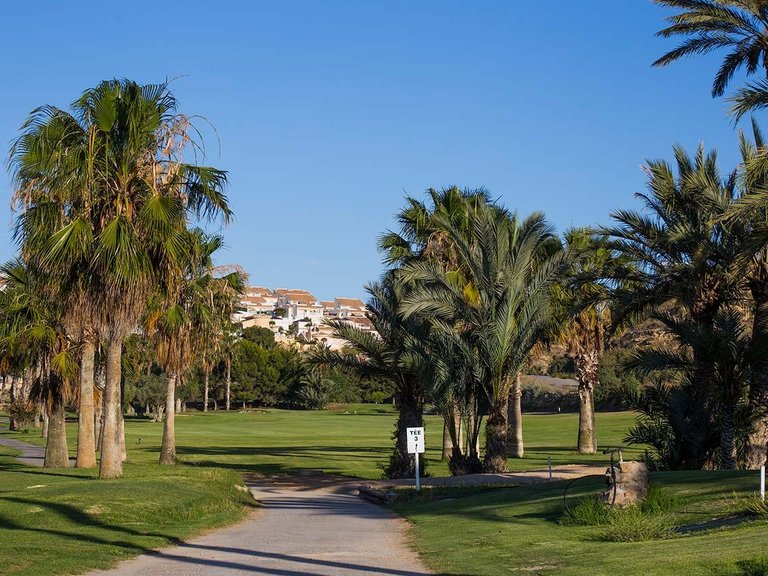 Apartment for Sale in La Marina, Alicante 7