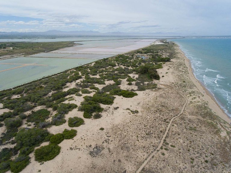 Apartment for Sale in La Marina, Alicante 6