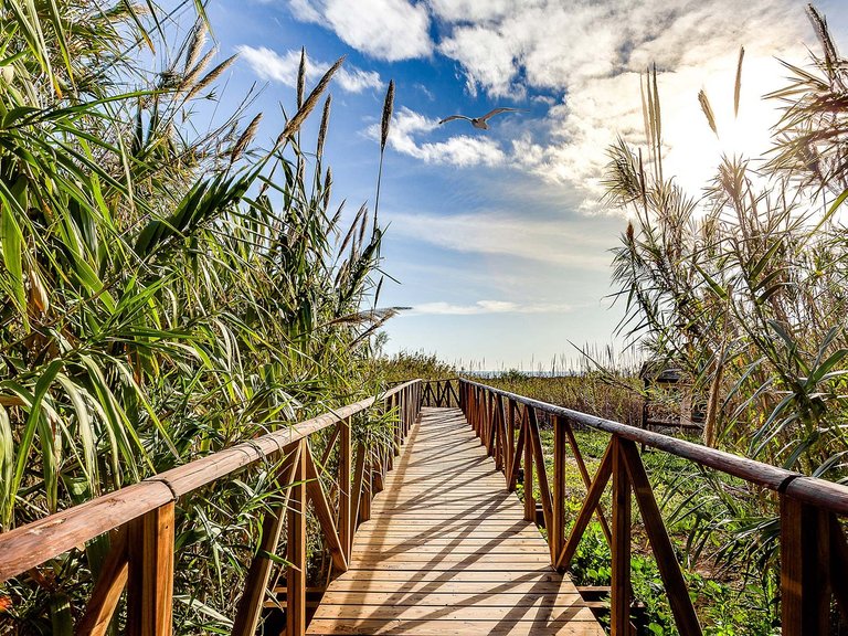 Apartment for Sale in Guardamar del Segura, Alicante 5