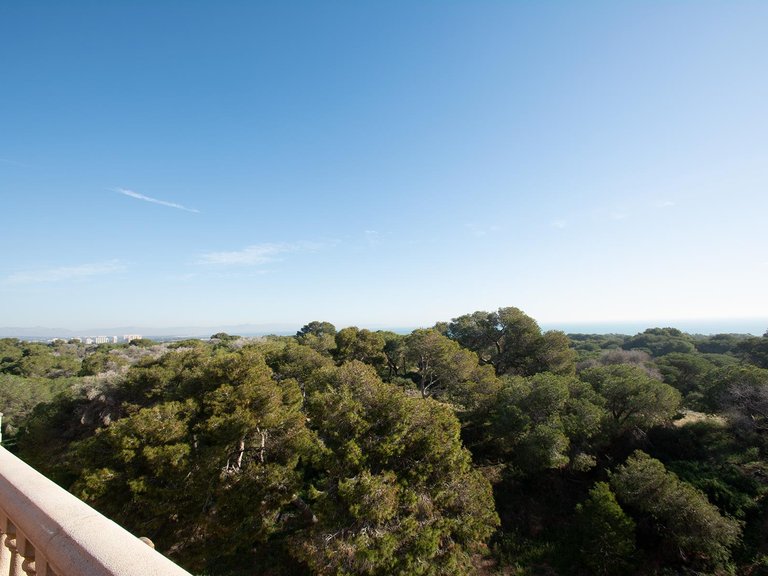 Penthouse for Sale in Guardamar del Segura, Alicante 13