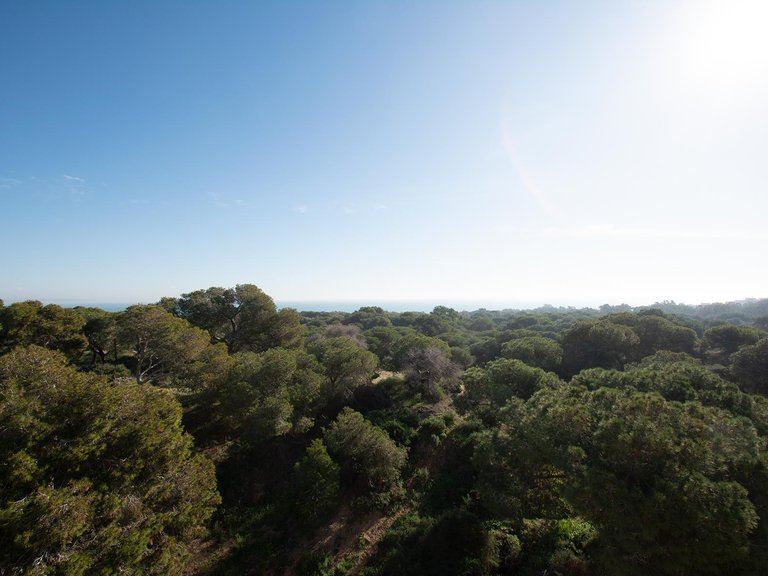 Penthouse for Sale in Guardamar del Segura, Alicante 14