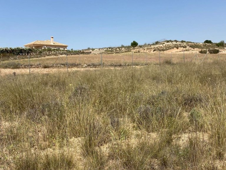 Villa for Sale in Camino Del Prado, Pinoso, Alicante 8