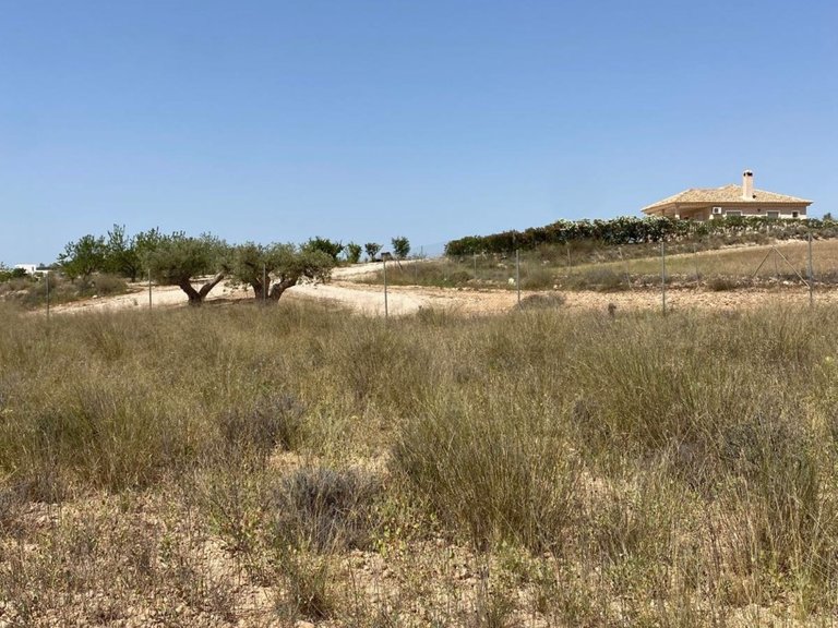 Villa for Sale in Camino Del Prado, Pinoso, Alicante 13