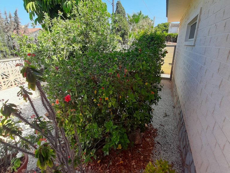 Villa for Sale in Costa Blanca Orihuela Costa, Alicante 6