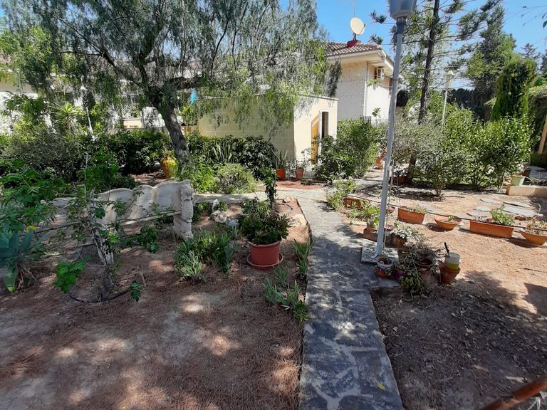 Villa for Sale in Costa Blanca Orihuela Costa, Alicante 13