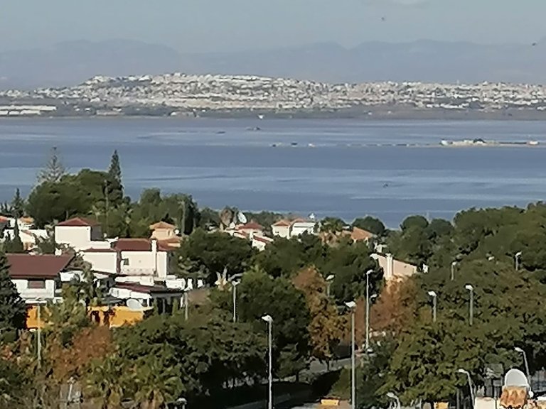 Villa for Sale in Costa Blanca Torrevieja, Alicante 40