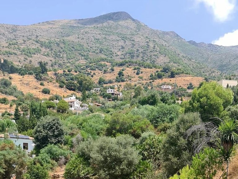 Plot for Sale in Costa del Sol Mijas, Malaga 10