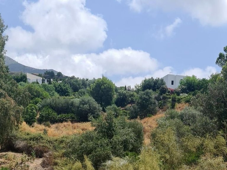 Plot for Sale in Costa del Sol Mijas, Malaga 12