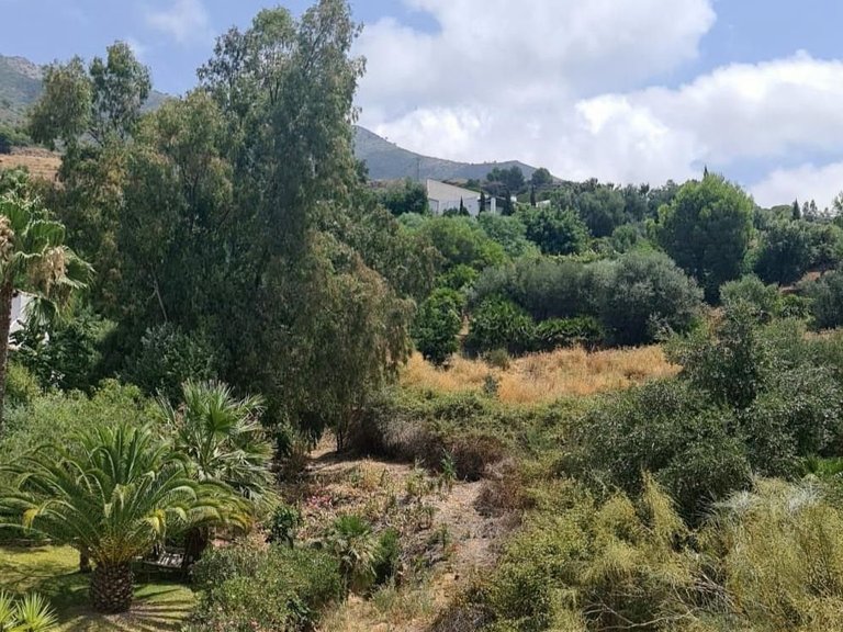 Plot for Sale in Costa del Sol Mijas, Malaga 13