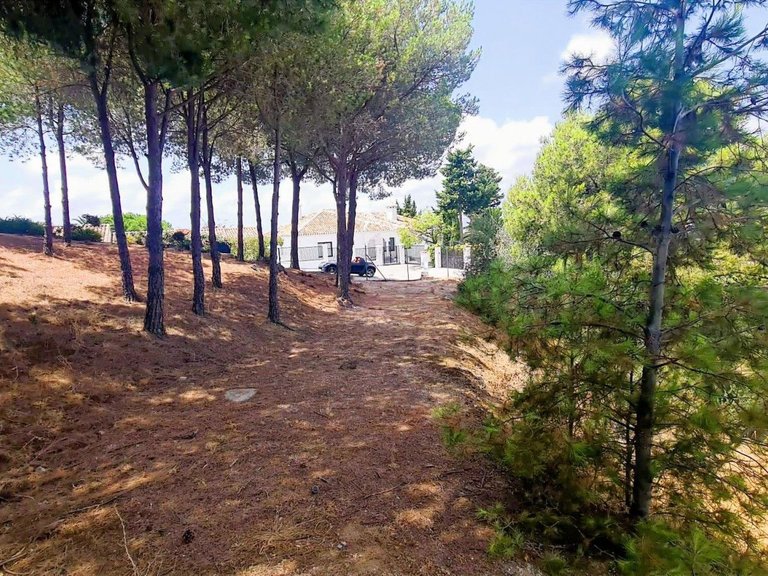 Plot for Sale in Costa del Sol Mijas, Malaga 7