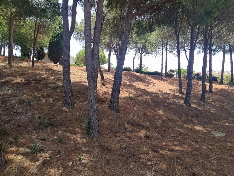 Plot for Sale in Costa del Sol Mijas, Malaga 8