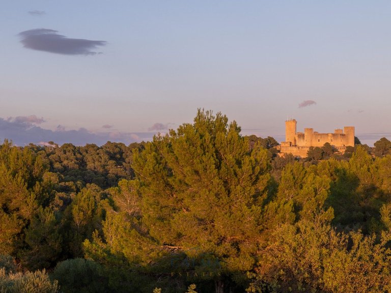 Penthouse for Sale in Palma, Balearic Islands 32
