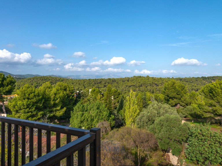 Penthouse for Sale in Palma, Balearic Islands 39