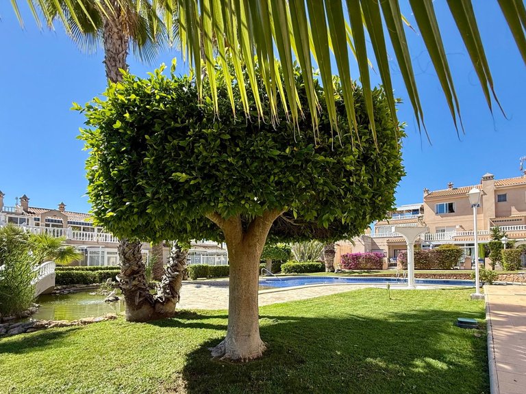 Apartment for Sale in Playa Flamenca, Alicante 26