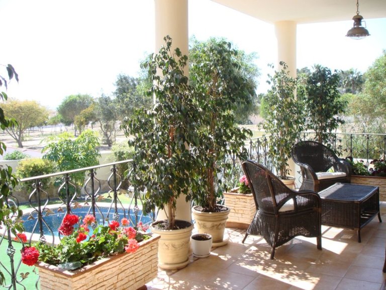 Villa for Sale in Ciudad Quesada, Alicante 14